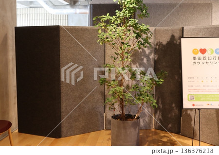 癒しの緑　　　　　　　　　　　　　　　　　　　　　　　　　　　　　　　　　　　　　　　 136376218