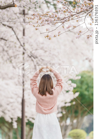 Woman tourist sightseeing Kajo Park Yamagata Castle Ruins with Sakura Cherry Blossom in Spring, happy traveler travel in Yamagata prefecture, Tohoku, Japan. famous Landmark for Travel and Vacation 136376891