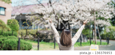 Woman tourist sightseeing Rock breaking Cherry Tree or Ishiwarizakura in Spring, happy traveler travel in Morioka city, Iwate prefecture, Japan. famous Landmark Travel and Vacation destinatio Woman tourist sightseeing Rock breaking Cherry Tree or Ishiwarizakura in Spring, happy traveler travel in Morioka city, Iwate prefecture, Japan. famous Landmark Travel and Vacation destinatio 136376953