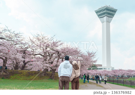 Couple  tourist sightseeing Goryokaku Tower park with Sakura Cherry Blossom in Spring, happy traveler travel in Hakodate city, Hokkaido, Japan. famous Landmark, Japan Travel and Vacation destination 136376982