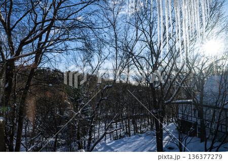 青空とつららと雪景色 青空とつららと雪景色 136377279