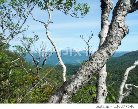 オロフレ峠より見る羊蹄山 136377546