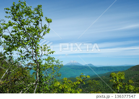 遠くの羊蹄山 136377547