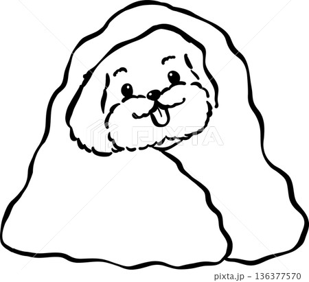 Cozy home happy cavoodle dog outline wrapped in blanket hand drawn 136377570