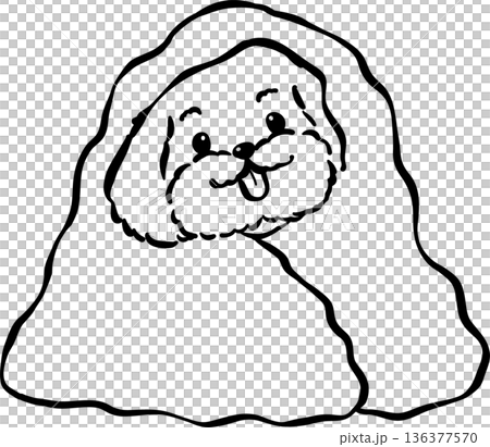 Cozy home happy cavoodle dog outline wrapped in blanket hand drawn 136377570