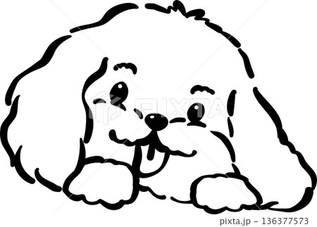 Cozy home happy cavoodle dog face happy tongue out outline hand drawn 136377573