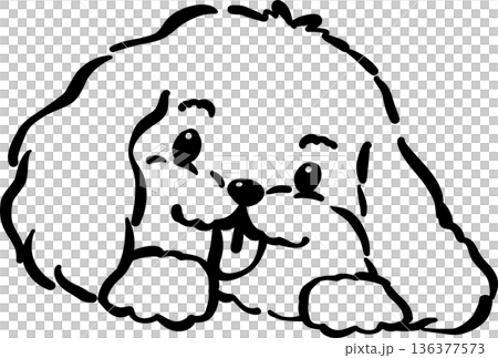 Cozy home happy cavoodle dog face happy tongue out outline hand drawn 136377573