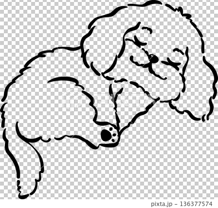 Cozy home happy cavoodle dog sleeping curled up outline adorable post hand drawn Cozy home happy cavoodle dog sleeping curled up outline adorable post hand drawn 136377574