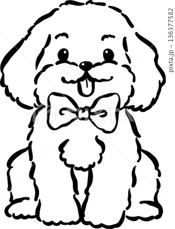 Cozy home happy cavoodle dog sitting outline with bowtie hand drawn Cozy home happy cavoodle dog sitting outline with bowtie hand drawn 136377582