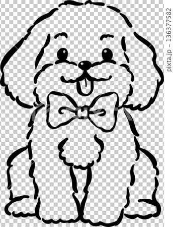 Cozy home happy cavoodle dog sitting outline with bowtie hand drawn Cozy home happy cavoodle dog sitting outline with bowtie hand drawn 136377582