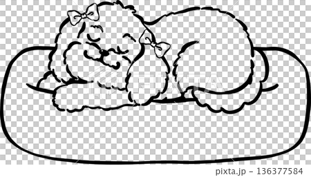 Cozy home happy cavoodle dog sleeping outline in bed hand drawn Cozy home happy cavoodle dog sleeping outline in bed hand drawn 136377584