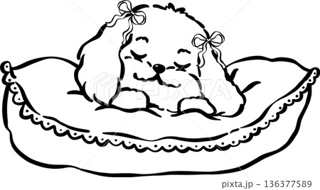 Cozy home happy cavoodle dog outline sleeping on big pillow hand drawn 136377589