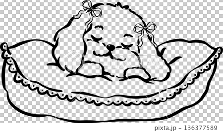 Cozy home happy cavoodle dog outline sleeping on big pillow hand drawn 136377589