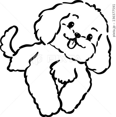 Cozy home happy cavoodle dog outline half body hand drawn 136377591