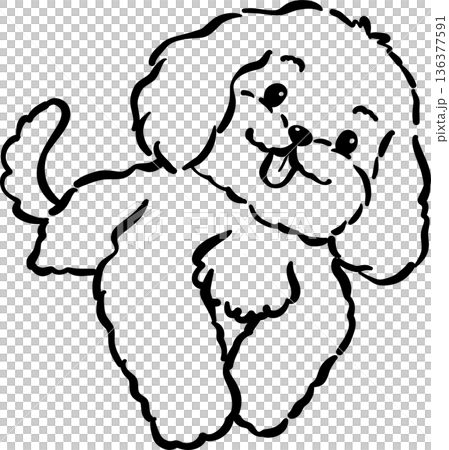 Cozy home happy cavoodle dog outline half body hand drawn 136377591