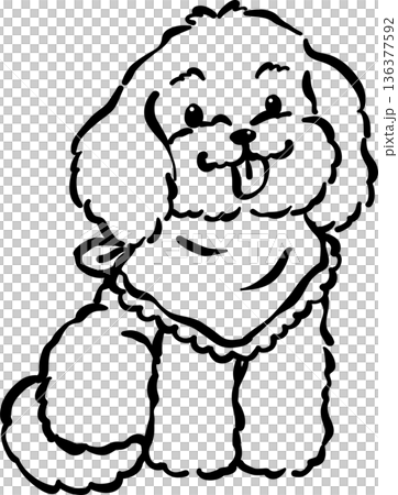 Cozy home happy cavoodle dog sitting outline...のイラスト素材 [136377592] - PIXTA