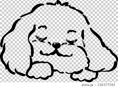 Cozy home happy cavoodle dog sleeping face outline hand drawn Cozy home happy cavoodle dog sleeping face outline hand drawn 136377593