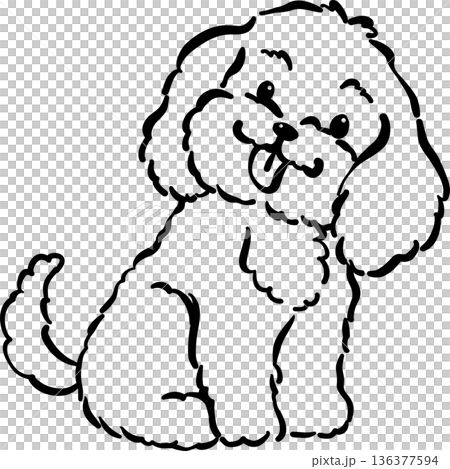 Cozy home happy cavoodle dog sitting outline tongue out hand drawn Cozy home happy cavoodle dog sitting outline tongue out hand drawn 136377594
