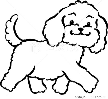 Cozy home happy cavoodle dog walking outline hand drawn 136377596