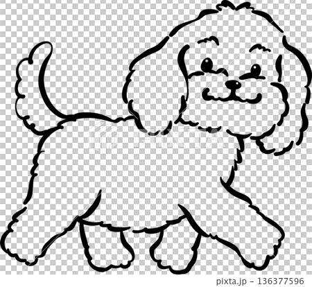 Cozy home happy cavoodle dog walking outline hand drawn 136377596