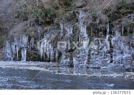 三十槌の氷柱 136377653