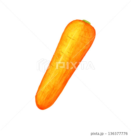 手描き水彩のにんじん（葉なし）1本｜野菜のシンプルイラスト素材 136377776