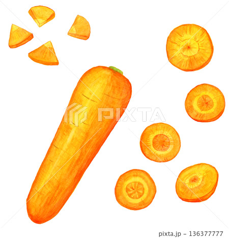 手描き水彩のにんじんセット｜丸ごと1本・輪切り・銀杏切りの野菜イラスト素材 136377777