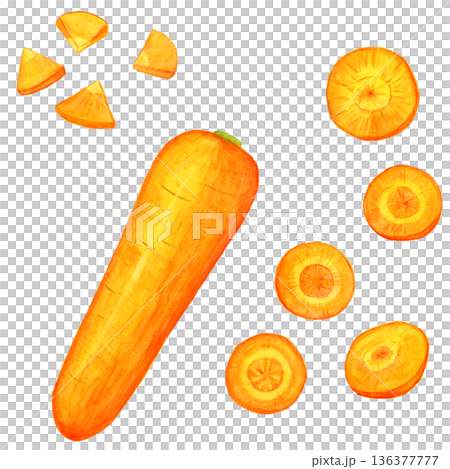手描き水彩のにんじんセット｜丸ごと1本・輪切り・銀杏切りの野菜イラスト素材 136377777