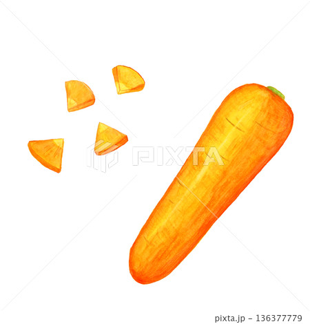手描き水彩のにんじんセット｜丸ごと1本と銀杏切りの野菜イラスト素材 136377779