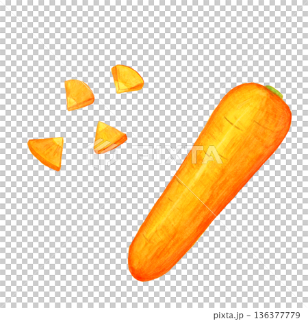 手描き水彩のにんじんセット｜丸ごと1本と銀杏切りの野菜イラスト素材 136377779
