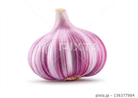 Garlic bulb vegetable purple white isolated fresh organic garlic bulb purple white isolated on white background with clipping path 136377984