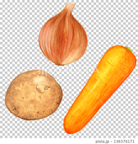 手描き水彩の野菜セット｜にんじん・玉ねぎ・じゃがいものシンプルイラスト素材 136378171