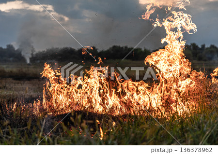 A fire burns in a field with dry grass. 136378962