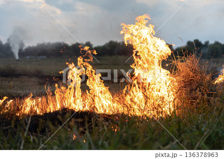 A fire burns in a field with dry grass. 136378963