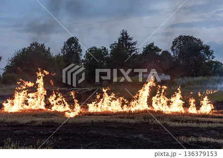 A fire burns in a field with dry grass. A fire burns in a field with dry grass. 136379153
