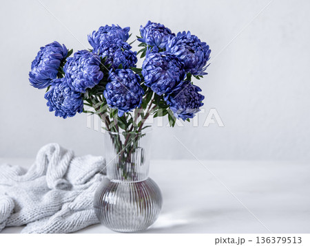 Glass vase with blue chrysanthemum flowers, copy space. 136379513