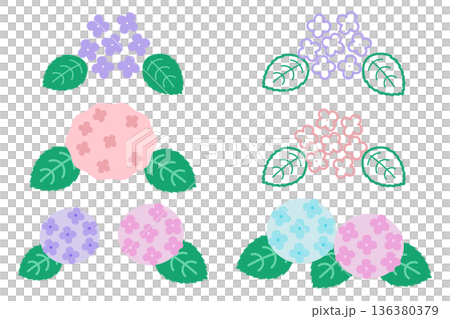 パステルカラーのアジサイ イラスト素材セット パステルカラーのアジサイ イラスト素材セット 136380379