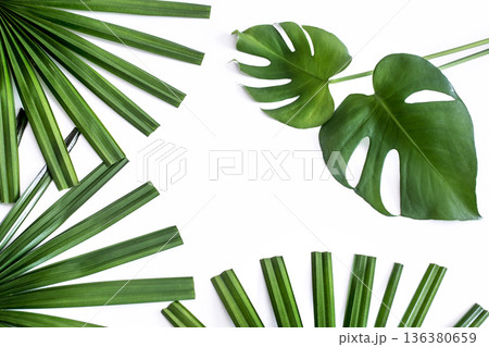 background, tropical different leaves on white background background, tropical different leaves on white background 136380659