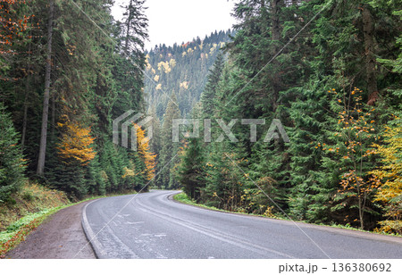 Winding road in a mountainous area in a coniferous forest. 136380692