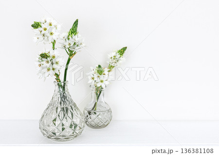 Spring flowers in glass vases isolated on white background. Spring flowers in glass vases isolated on white background. 136381108