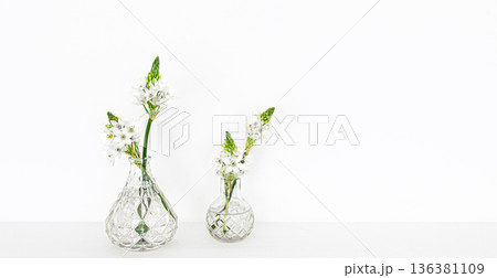 Spring flowers in glass vases isolated on white background. 136381109