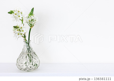 Spring flowers in glass vases isolated on white background. Spring flowers in glass vases isolated on white background. 136381111