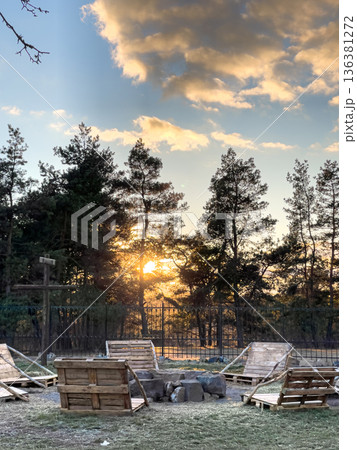 Sunset among the pines, landscape of the park. 136381272