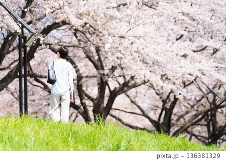 桜並木を散歩する若い女性　ライフスタイルイメージ 136381329
