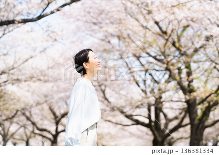 桜を見上げる若い女性　ライフスタイルイメージ 136381334