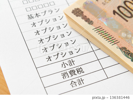 オプションを追加する 別途料金 補足サービス 見積書 請求書 オプションを追加する 別途料金 補足サービス 見積書 請求書 136381446