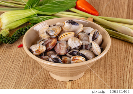 Raw fresh wild clams mollusc Raw fresh wild clams mollusc 136381462