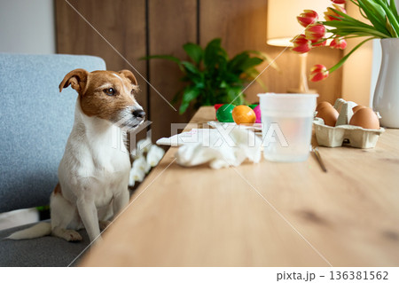 Dog sitting at table with Easter eggs and decorations at home Dog sitting at table with Easter eggs and decorations at home 136381562