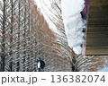 滋賀 メタセコイア並木の雪景色 136382074