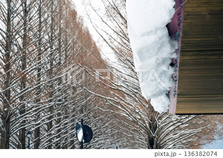 滋賀 メタセコイア並木の雪景色 滋賀 メタセコイア並木の雪景色 136382074